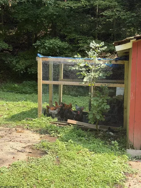 Exterior - 252 Gateway Rd, Wallace, WV 26448 photo 5 of 7