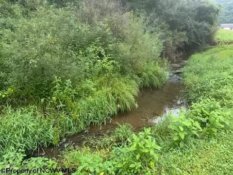 Other - 1683 Range Rd, Wadestown, WV 26590 photo 5 of 28