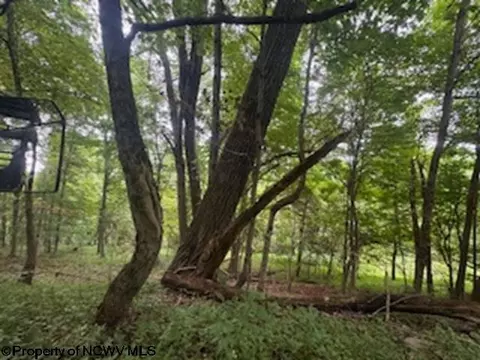 Other - 1683 Range Rd, Wadestown, WV 26590 photo 17 of 28