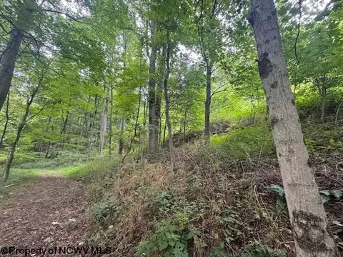 Other - 1683 Range Rd, Wadestown, WV 26590 photo 16 of 28