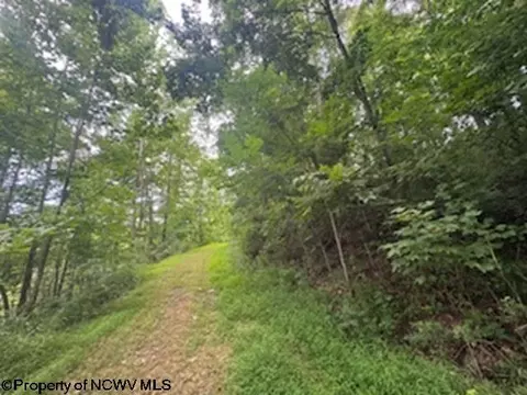Other - 1683 Range Rd, Wadestown, WV 26590 photo 18 of 28
