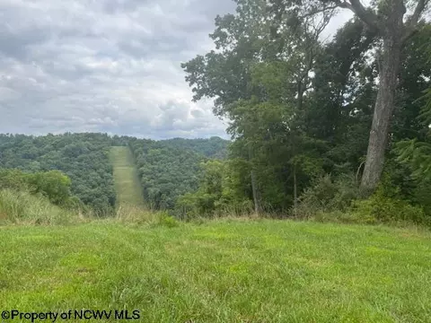 View/Area - 1683 Range Rd, Wadestown, WV 26590 photo 2 of 2