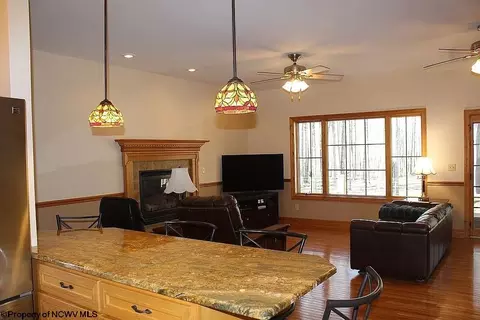 Living - 464 Maple Ave, Davis, WV 26260 photo 1 of 5