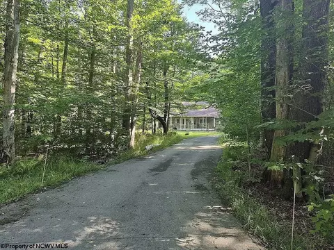 Other - 464 Maple Ave, Davis, WV 26260 photo 13 of 14