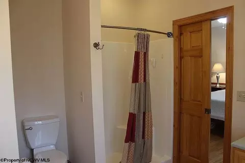 Bath - 464 Maple Ave, Davis, WV 26260 photo 3 of 5