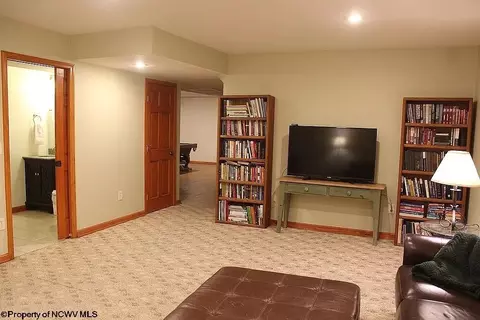 Other - 464 Maple Ave, Davis, WV 26260 photo 11 of 14