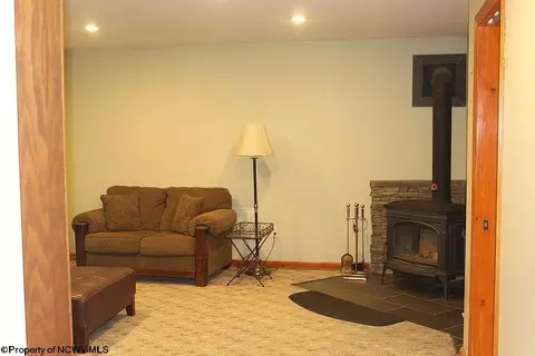 Living - 464 Maple Ave, Davis, WV 26260 photo 4 of 5