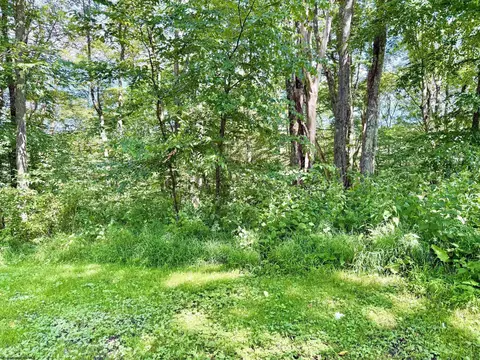 Other - 112 Hillside Dr #THOMAS CORP, Thomas, WV 26292 photo 9 of 9