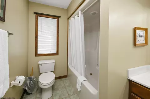 Bath - 195 Brookside Rd, Davis, WV 26260 photo 3 of 5