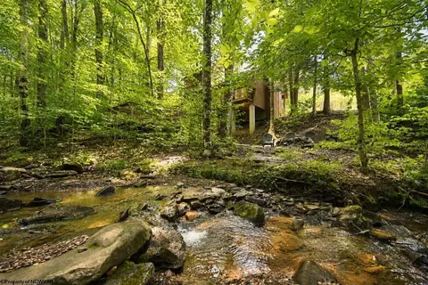 Other - 195 Brookside Rd, Davis, WV 26260 photo 3 of 8