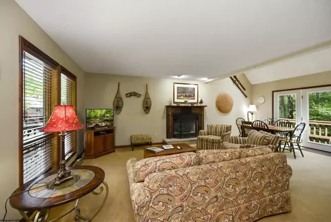 Living - 195 Brookside Rd, Davis, WV 26260 photo 1 of 3