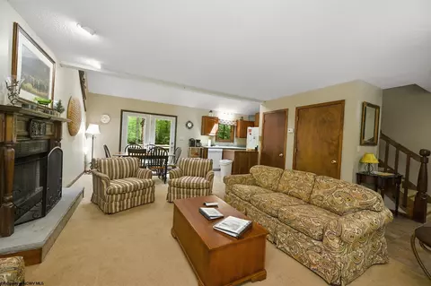 Living - 195 Brookside Rd, Davis, WV 26260 photo 3 of 3