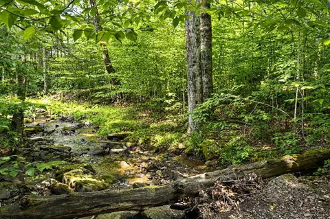 Other - 195 Brookside Rd, Davis, WV 26260 photo 4 of 8