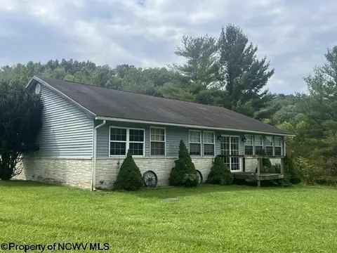 13 Birch Ln, Jane Lew, WV 26378