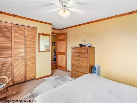 Bedroom - 597 E Meadows Rd, Harman, WV 26270 photo 4 of 9