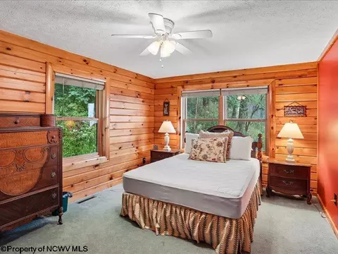 Bedroom - 597 E Meadows Rd, Harman, WV 26270 photo 5 of 9