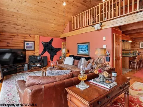Living - 597 E Meadows Rd, Harman, WV 26270 photo 4 of 8
