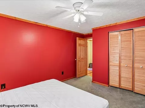 Bedroom - 597 E Meadows Rd, Harman, WV 26270 photo 6 of 9