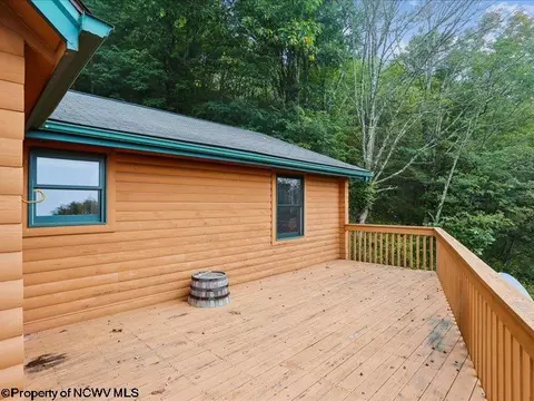 Exterior - 597 E Meadows Rd, Harman, WV 26270 photo 6 of 12