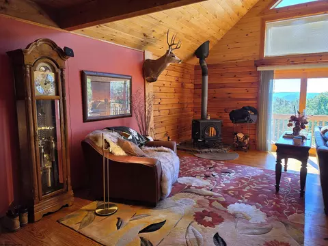 Living - 597 E Meadows Rd, Harman, WV 26270 photo 3 of 8