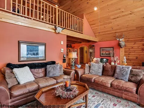 Living - 597 E Meadows Rd, Harman, WV 26270 photo 5 of 8
