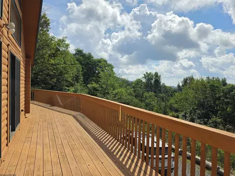 Exterior - 597 E Meadows Rd, Harman, WV 26270 photo 3 of 12