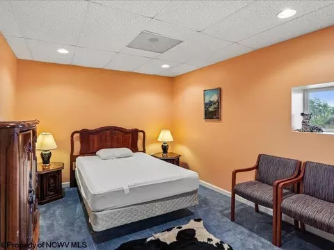 Bedroom - 597 E Meadows Rd, Harman, WV 26270 photo 7 of 9