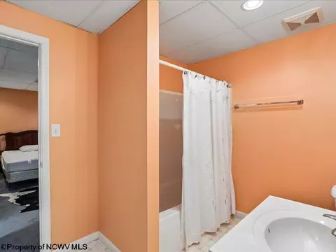 Bath - 597 E Meadows Rd, Harman, WV 26270 photo 3 of 4