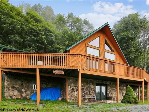 Exterior - 597 E Meadows Rd, Harman, WV 26270 photo 4 of 12