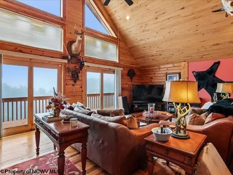 Living - 597 E Meadows Rd, Harman, WV 26270 photo 1 of 8