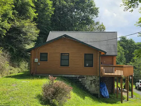 Exterior - 597 E Meadows Rd, Harman, WV 26270 photo 9 of 12