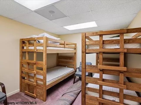 Bedroom - 597 E Meadows Rd, Harman, WV 26270 photo 9 of 9