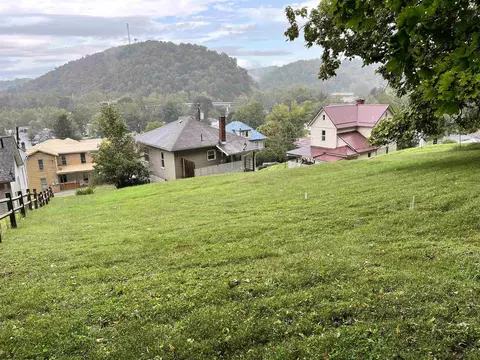 Exterior - 403 S Walnut St, Philippi, WV 26416 photo 21 of 21