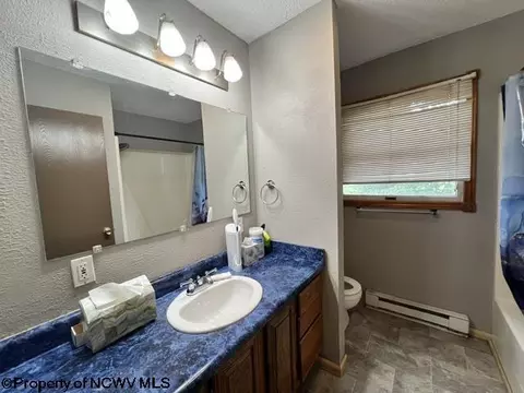 Bath - 197 Collett St, Beverly, WV 26253 photo 1 of 1