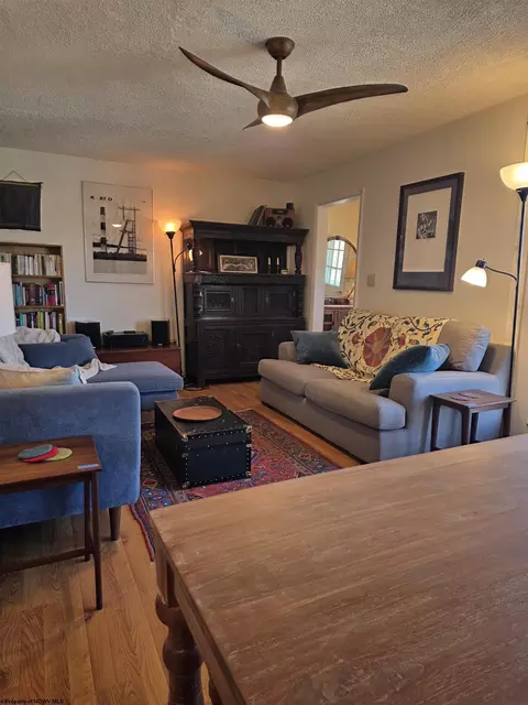Living - 262 Brown St, Thomas, WV 26292 photo 2 of 5