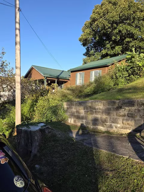 Exterior - 262 Brown St, Thomas, WV 26292 photo 2 of 10