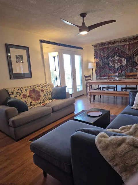 Living - 262 Brown St, Thomas, WV 26292 photo 3 of 5