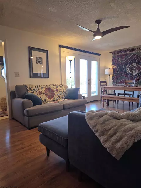 Living - 262 Brown St, Thomas, WV 26292 photo 4 of 5