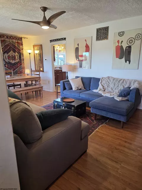 Living - 262 Brown St, Thomas, WV 26292 photo 1 of 5