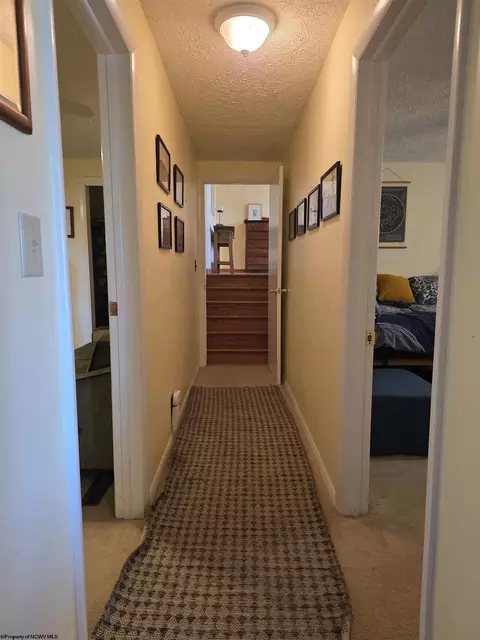 Entry Way - 262 Brown St, Thomas, WV 26292 photo 6 of 6