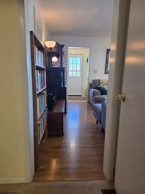 Entry Way - 262 Brown St, Thomas, WV 26292 photo 4 of 6