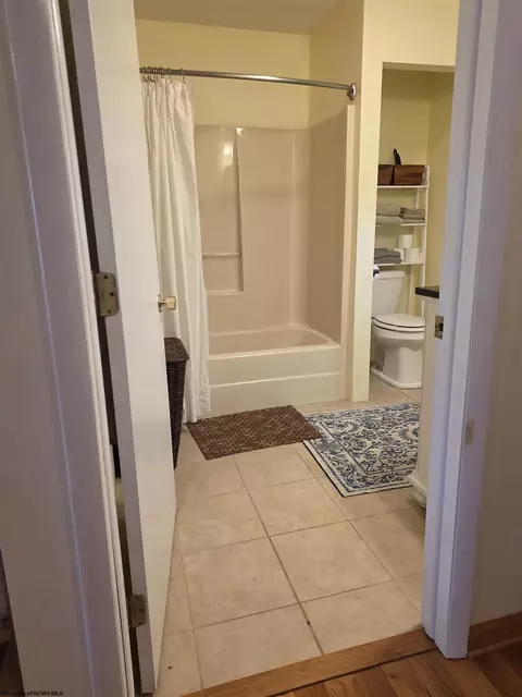 Bath - 262 Brown St, Thomas, WV 26292 photo 1 of 2