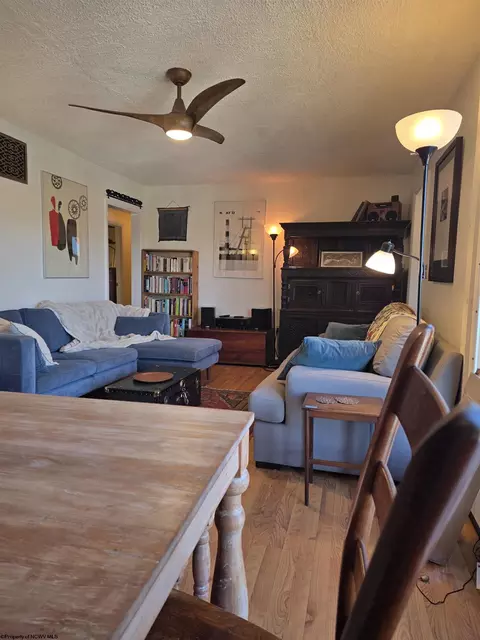 Living - 262 Brown St, Thomas, WV 26292 photo 5 of 5