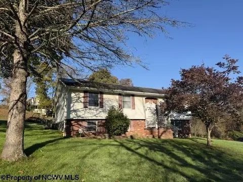 125 Beacon St, Belington, WV 26250