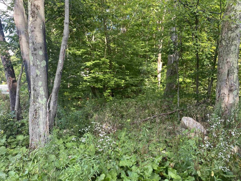 1213 Gore Rd LOT 1, Bennington, VT 05201 5 Photos MLS 4879678