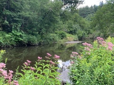 0 Barnard Rd, Woodstock, VT 05091