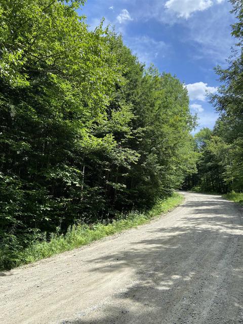 00 Norrie Davies Rd, Cavendish, VT 05153
