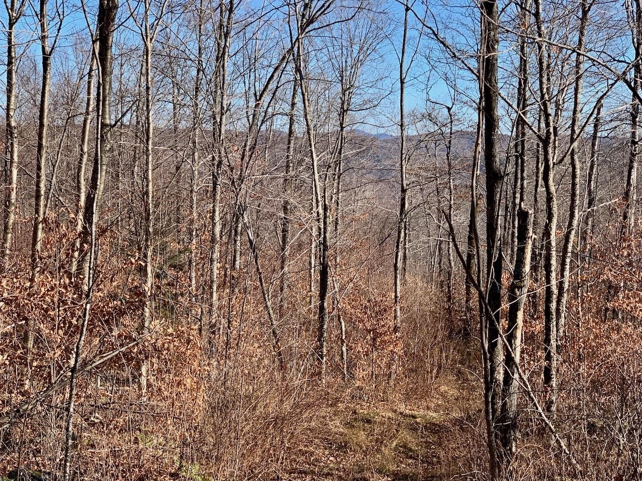 S-1B Great Roaring Brook Rd Unit S-1B
