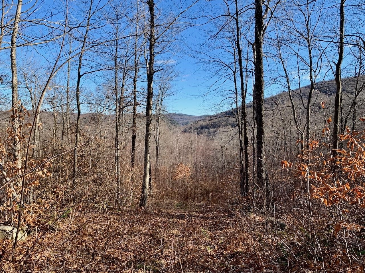 S-1C Great Roaring Brook Rd Unit S-1C