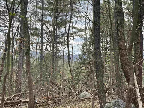 0 Snell Rd, Chester, VT 05143